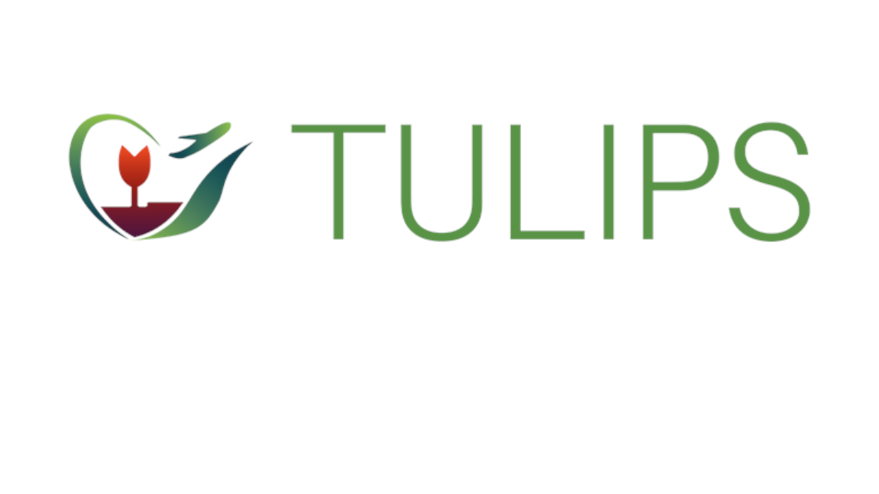 TULIPS logo